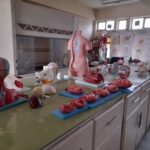 Midwifery department